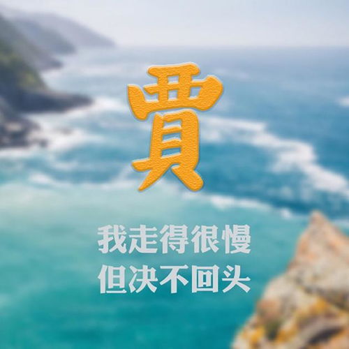 300多姓氏微信头像段黄