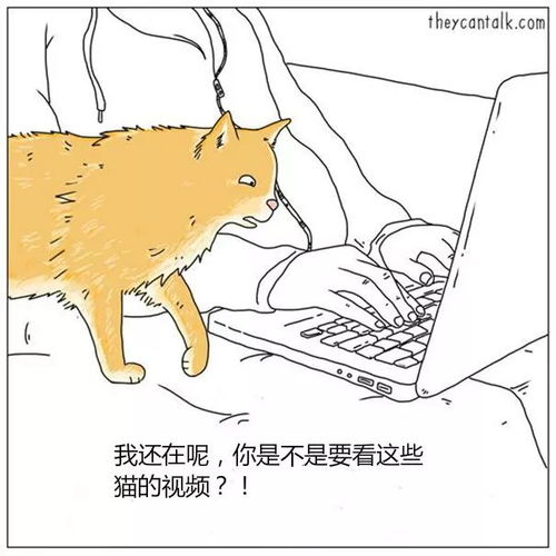  这个给汪和喵加对白的漫画家,简直把喵和汪的心理琢磨透了啊...