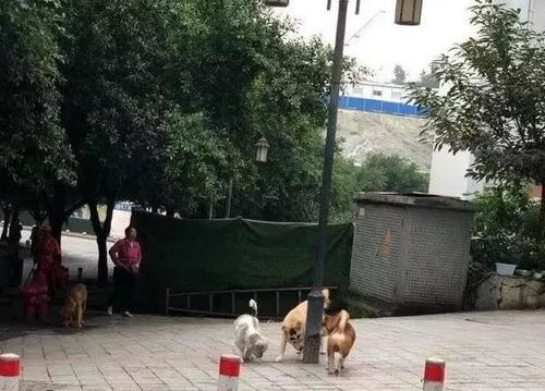  谁在催我找对象,我下次就这样怼回去哈哈哈哈,标准答案来了网易订阅