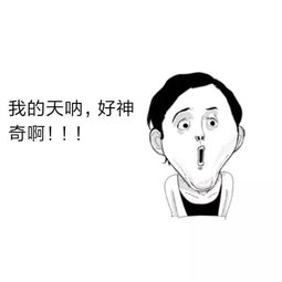  揭秘血小板的神奇伤口愈合过程