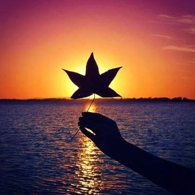 风景画头像高清唯美