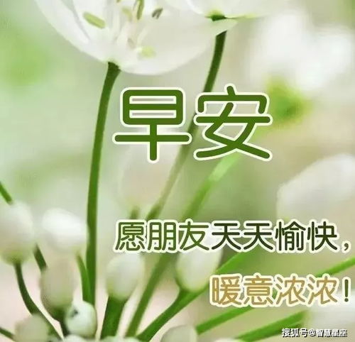  5月2日最新早上好问候祝福语图片,清晨暖心句子送给你