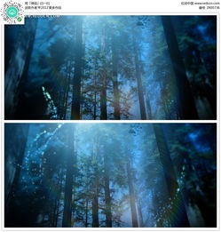  梦幻树林萤火视频mpg素材免费下载红动网