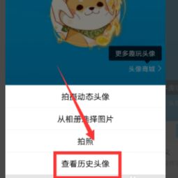 qq头像在线查询qq头像