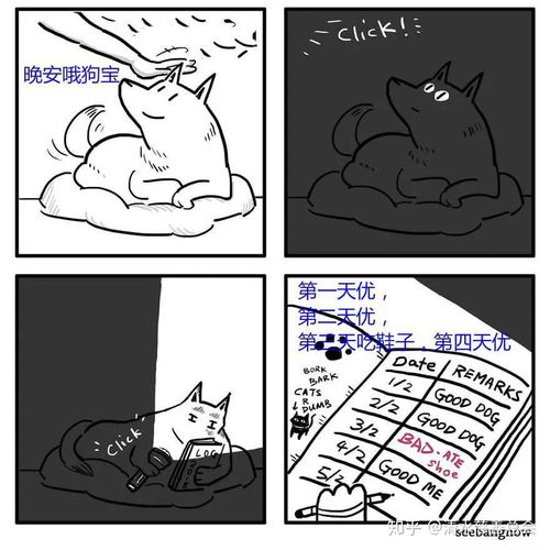 头像猫狗漫画自己