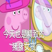  精致的猪猪女孩表情包微信头像图片大全