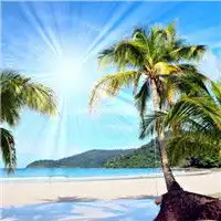  高清好看的唯美意境风景美图微信头像图片大全