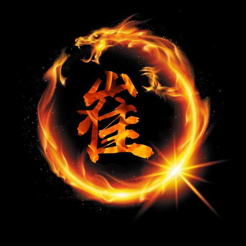  2019年超炫酷火焰龙姓氏头像,进来领走你的专属头像