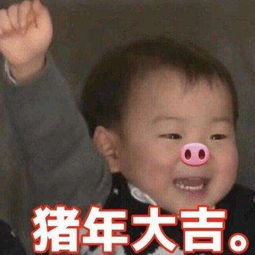  中小学生猪年春节生存指南
