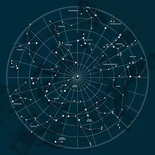  说星座丨求你们不要再黑处女座了