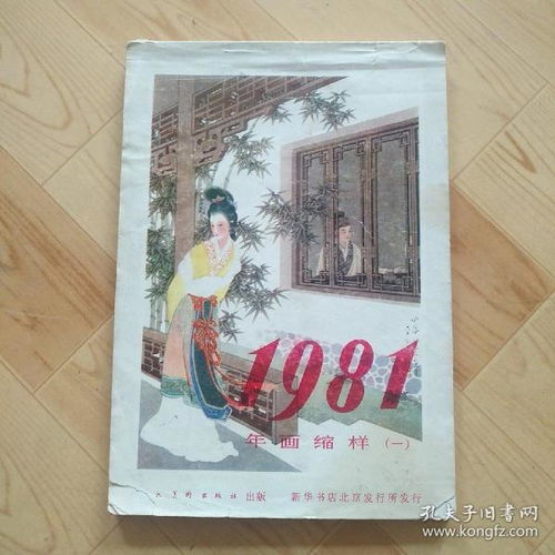  孔网分类
