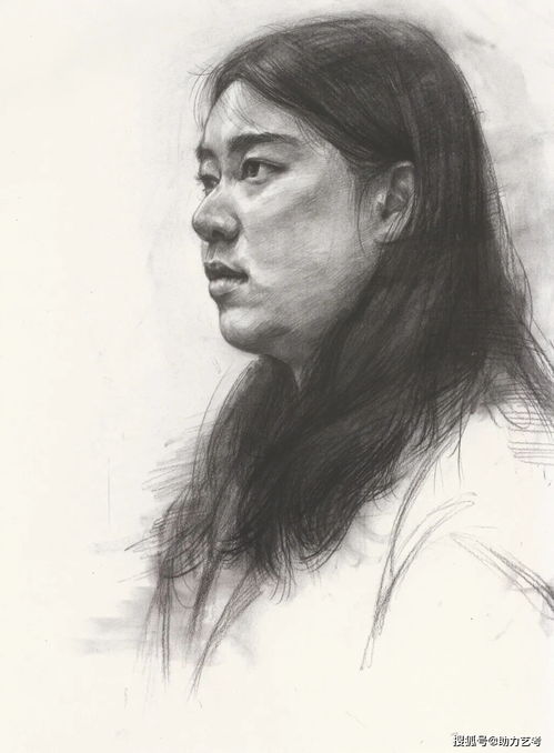  国美素描头像高分卷,你的临摹好帮手