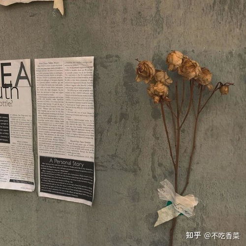  远嫁的女人,最后过得都不幸福