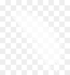  免费下载素描羽毛图片大全千库网png
