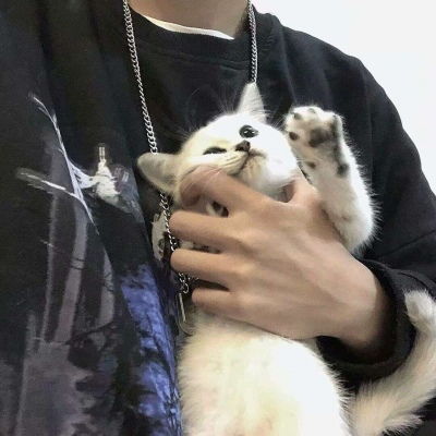  浮我爱帅哥帅哥爱我男头部位,真人