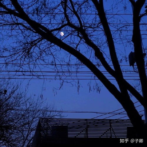  有哪些适合八月发的文案