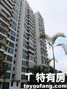  深圳黄页88网