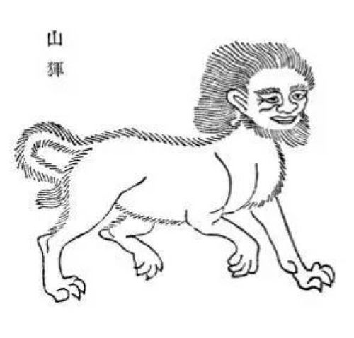  古书山海经中有哪些传说的动物在现实中找到了