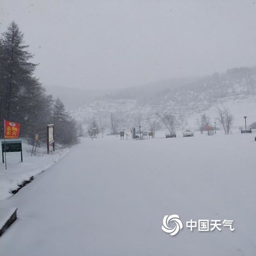  河北崇礼5月飞雪一片银装素裹