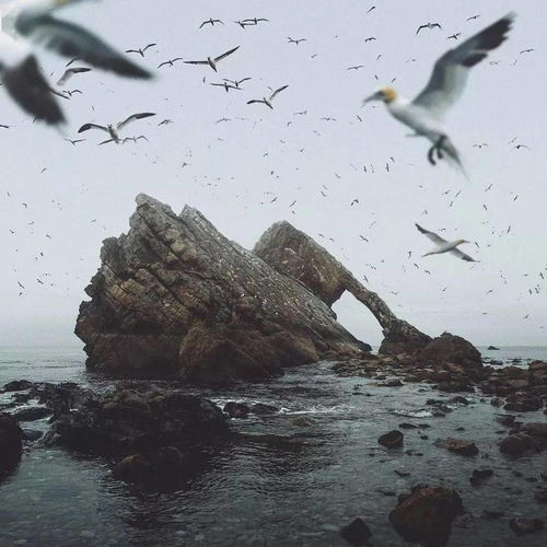  超nice的头像背景套图
