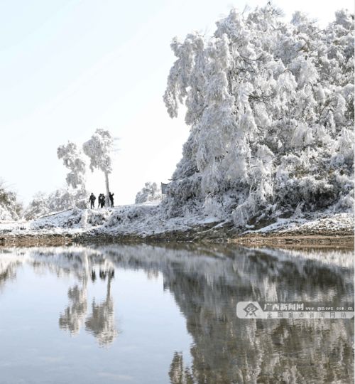  广西这个地方现绝美雪景宛如童话世界