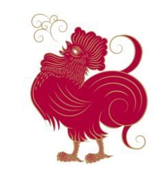  苏民峰2019年十二生肖运势全解析属猪蛇猴的广州人要注意了