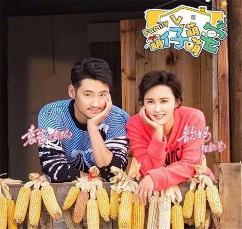  2018新春综艺等你来看