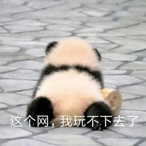  史上最全倒霉蛋动图集合,哈哈哈哈哈哈我笑不活了