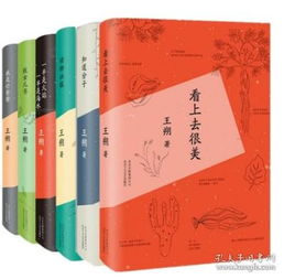  小说