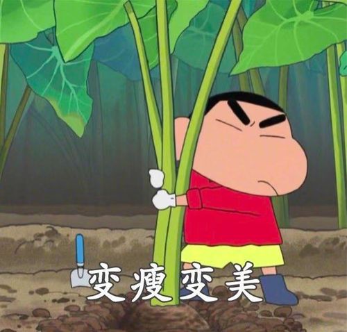  2020年的计划你做好了吗