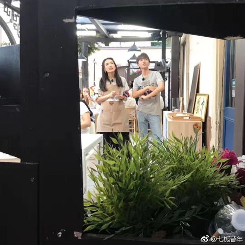  中餐厅后首互动舒淇为王俊凯点赞有你多好