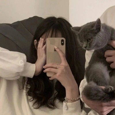  365完美体育app