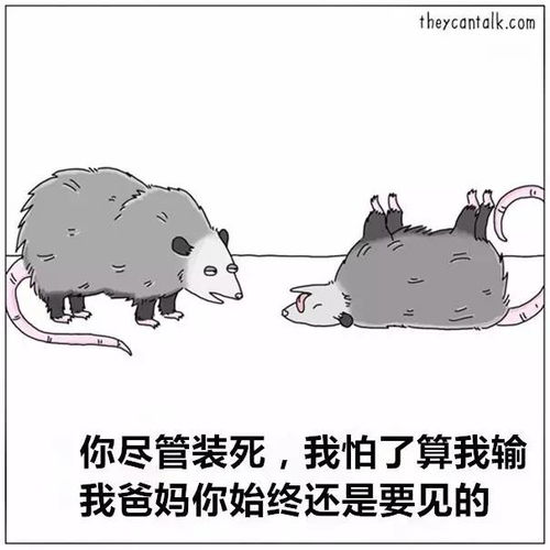  动物开口说起话来,真是太沙雕了哈哈哈