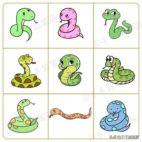  十二生肖动物简笔画素材大全,画法简单,小白也能学会画小动物