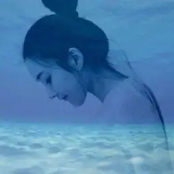 月到天心 月到天心