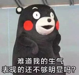 熊本熊头像不带字生气