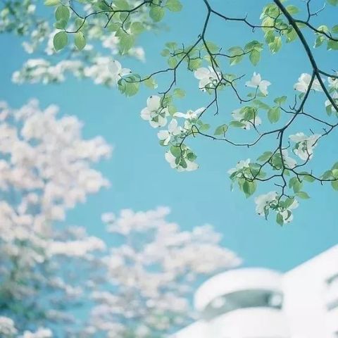  时间熨平记忆,也给人勇气
