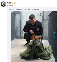  黄渤调侃孙红雷忘带智商黄渤孙红雷撞脸汪星人