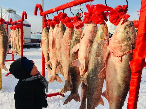  这个冬季,查干湖喊你一起领略渔猎文化和冰雪盛宴带来的无穷魅力