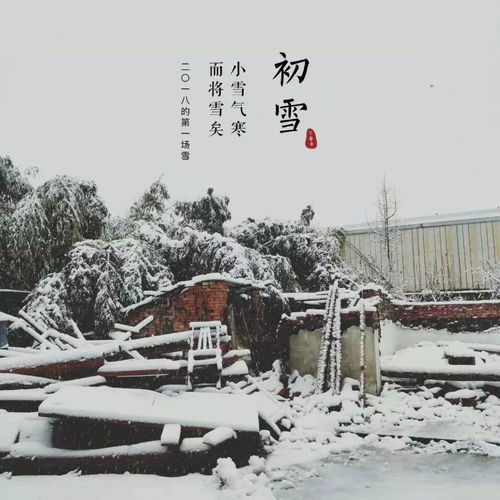  金陵初雪鼓楼最美的雪景还是在高校