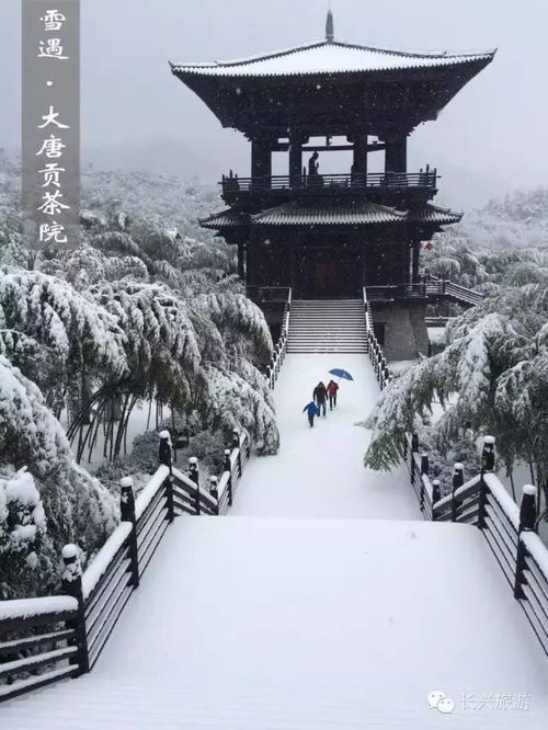  雪遇长兴景区全部闭园,雪景美照看这里