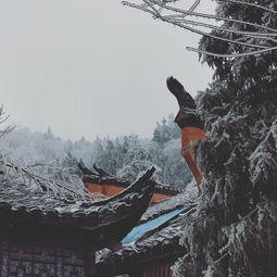  2019年2月春节后的三天假期广州飞张家界天门山武陵源的冰封雪景
