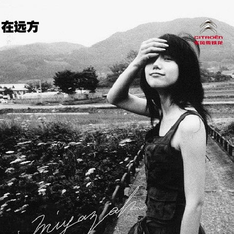  让我看看你的自由与精彩