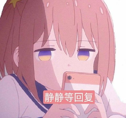  紧张面不失端庄狗子狗子端庄不失紧张表情