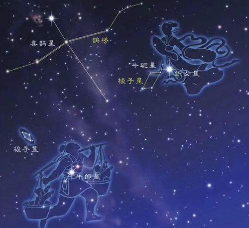  博物岁时记以爱之名古代情人节不止七夕