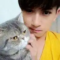  好看的抱着猫咪的情侣头像一男一女