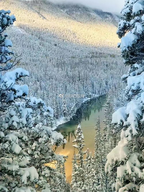  百看不厌落基山那道绝美的秋景