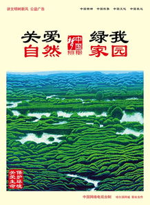  张店区人民政府_内容页
