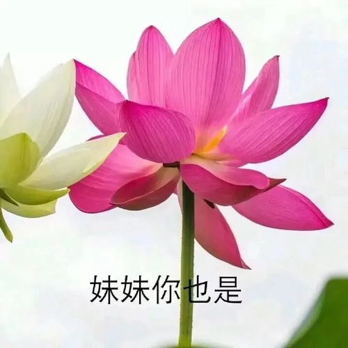  寝室宫斗大戏拍摄现场
