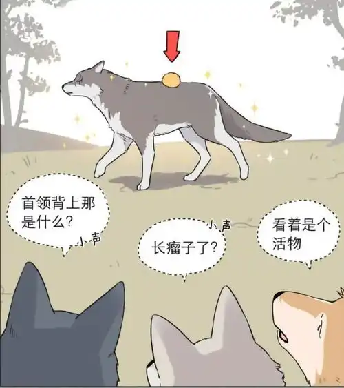  轻松一刻狼王带回一只小奶狗,狼小弟疯狂吃醋